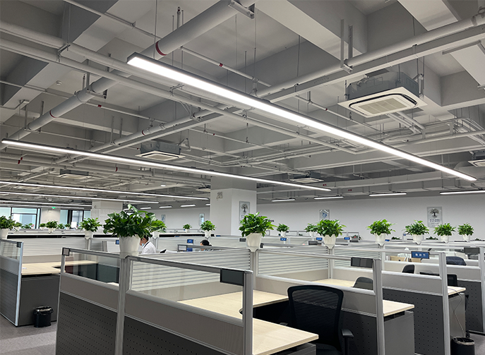 Office Area